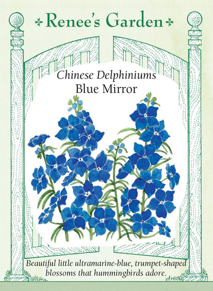 Chinese Delphiniums - Blue Mirror