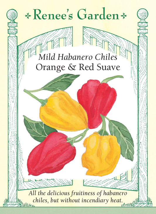 Mild Habanero Chiles - Orange & Red Suave