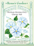 Heirloom Morning Glory - Glacier Star