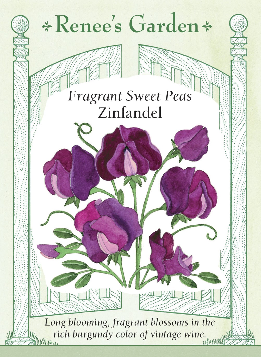 Fragrant Sweet Peas - Zinfandel