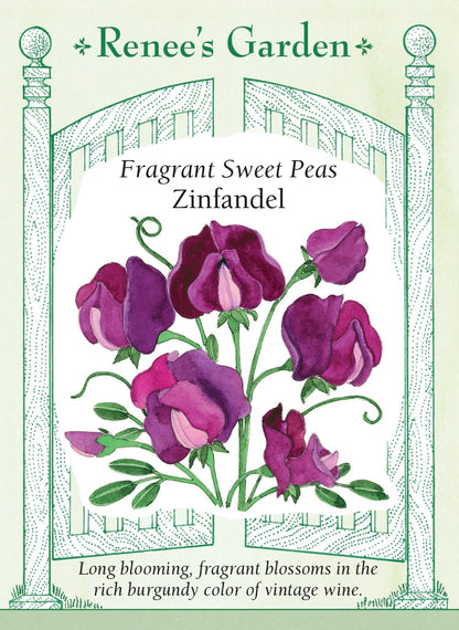 Fragrant Sweet Peas - Zinfandel