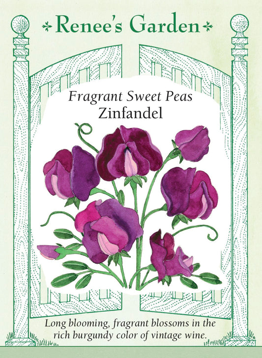 Fragrant Sweet Peas - Zinfandel
