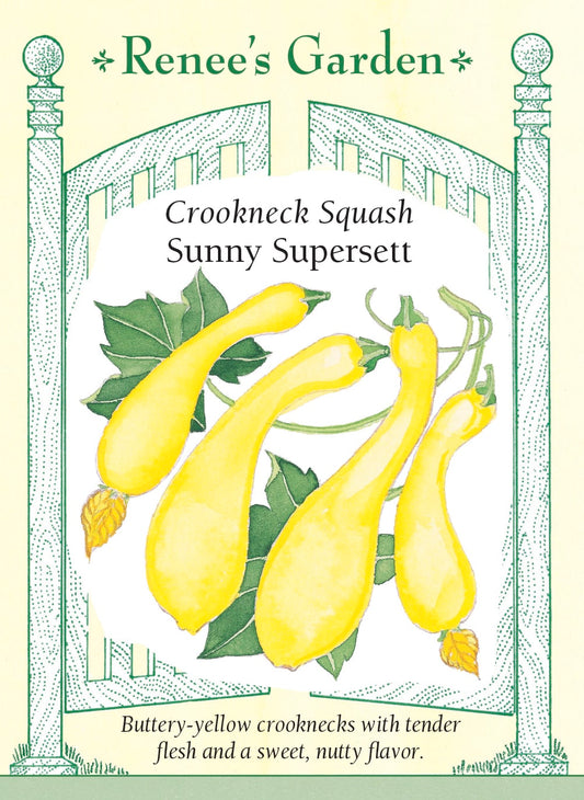 Crookneck Squash - Sunny Supersett