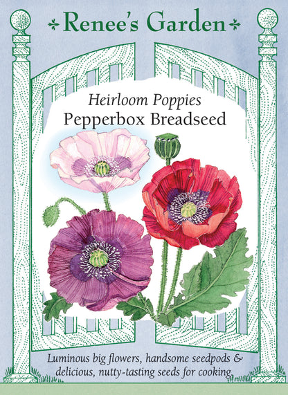 Heirloom Poppies - Pepperbox Breadseed