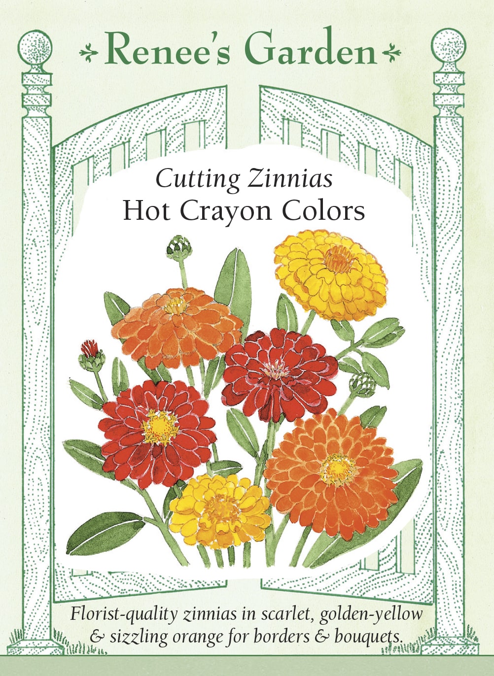 Cutting Zinnias - Hot Crayon Colors