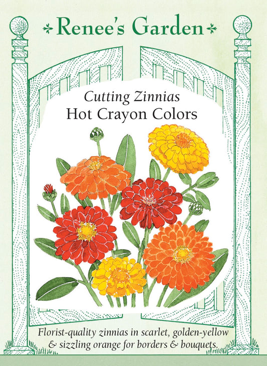 Cutting Zinnias - Hot Crayon Colors