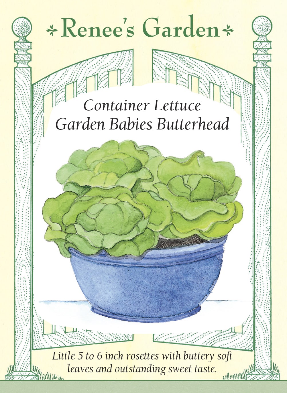 Hand-Picked Seed Bundle - Container Veggies