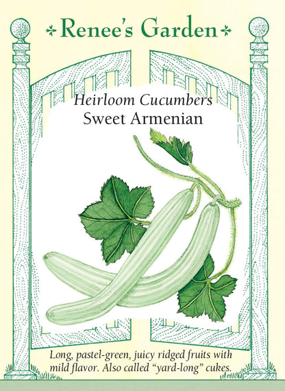 Heirloom Cucumbers - Sweet Armenian