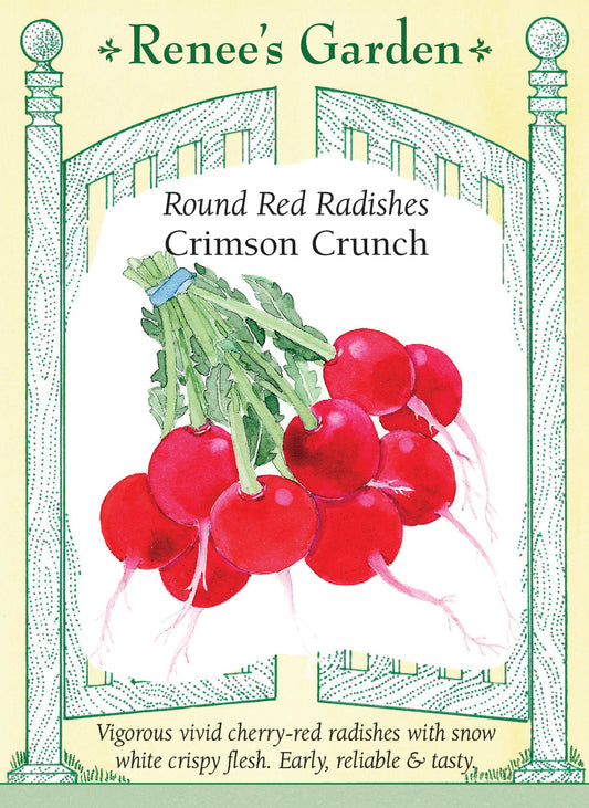 Round Red Radishes - Crimson Crunch