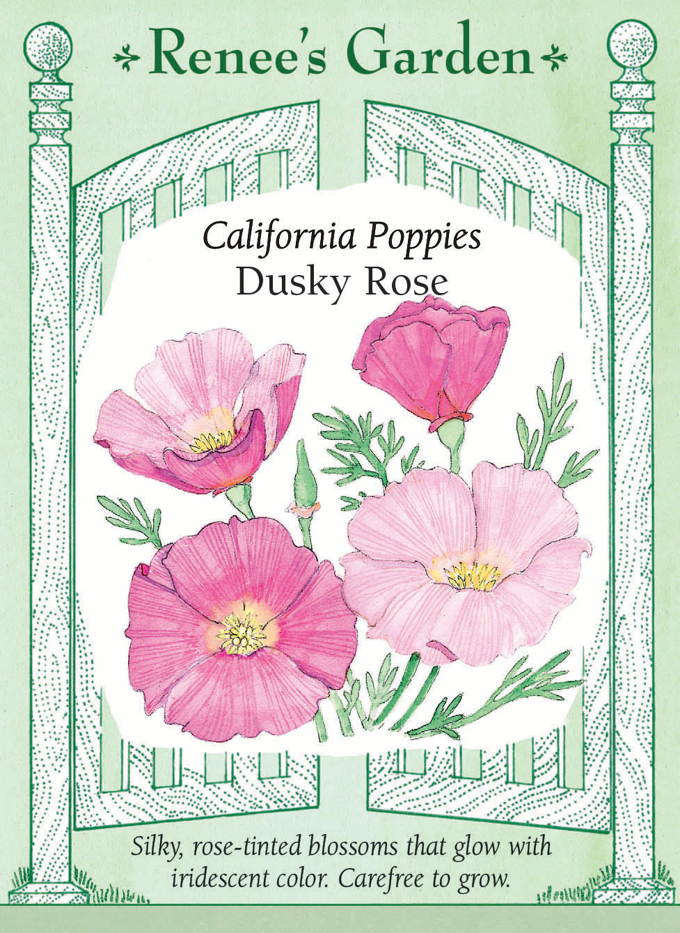 California Poppies - Dusky Rose