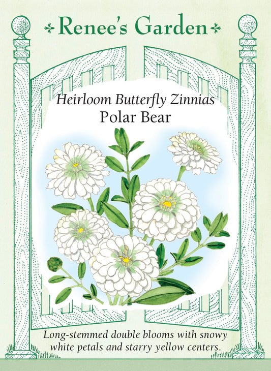 Heirloom Butterfly Zinnias - Polar Bear