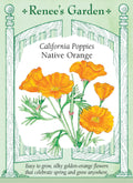 California Poppies - Native Orange
