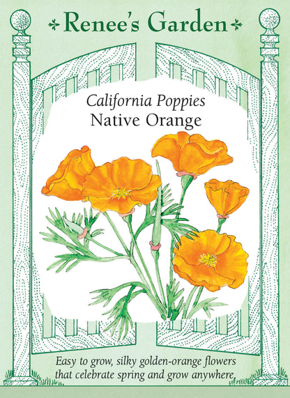California Poppies - Native Orange
