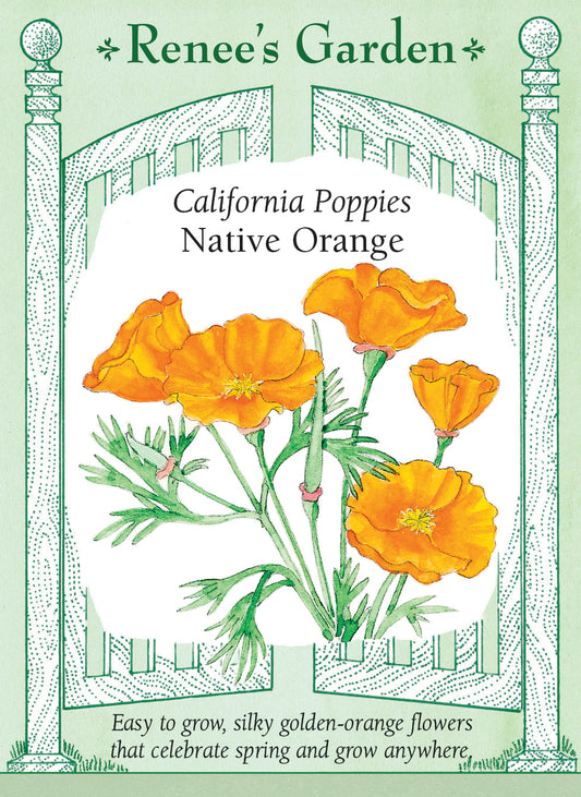 California Poppies - Native Orange