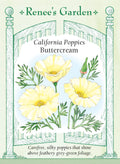 California Poppies - Buttercream