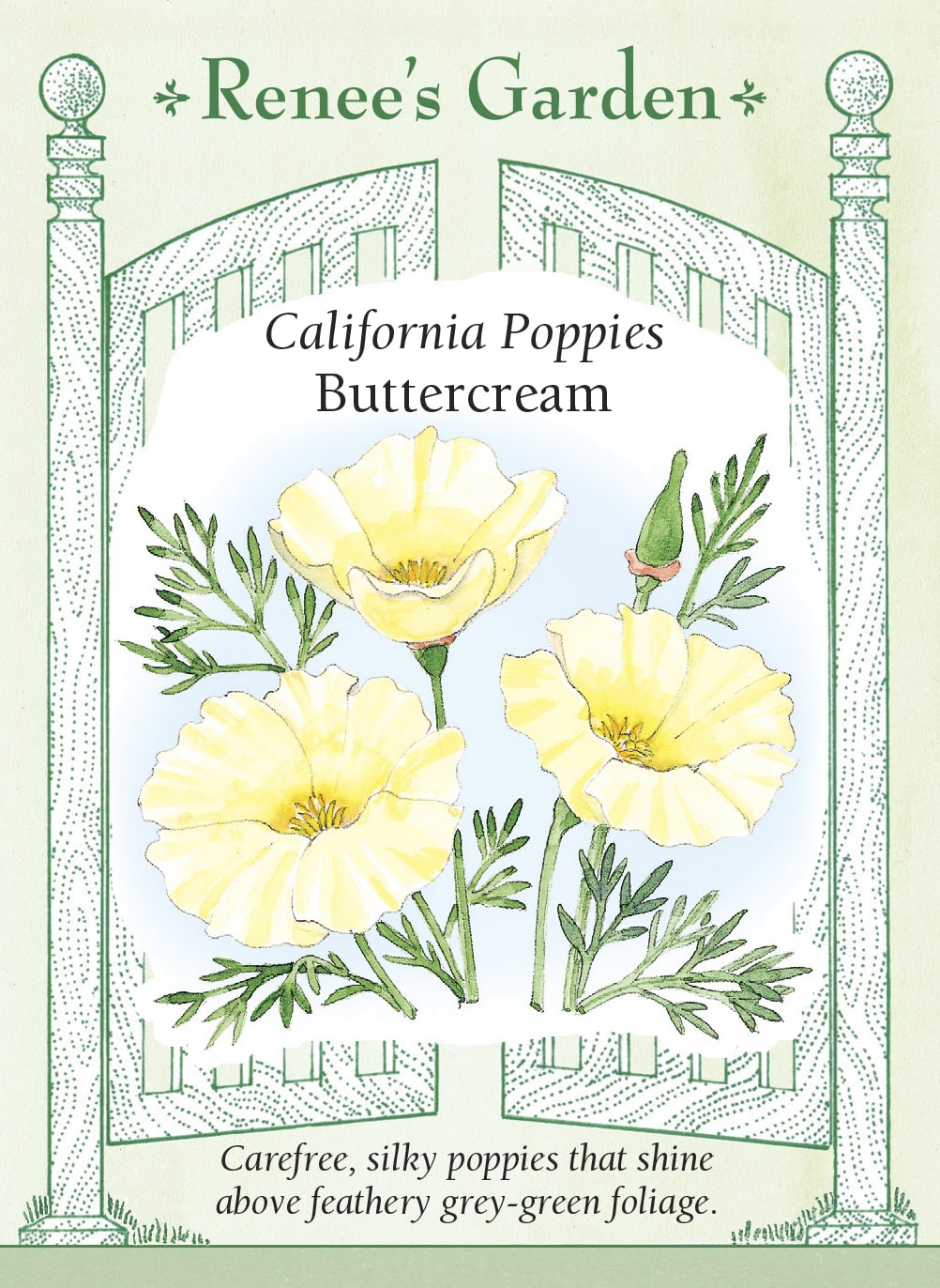 California Poppies - Buttercream