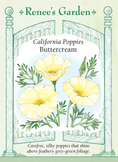 California Poppies - Buttercream