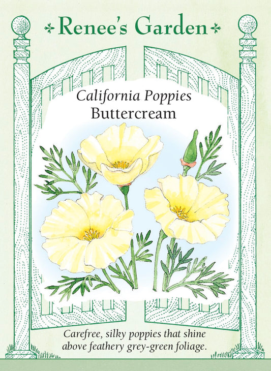California Poppies - Buttercream