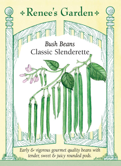 Bush Beans - Classic Slenderette