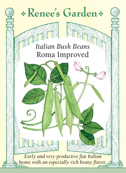 Italian Bush Beans - Roma Improved