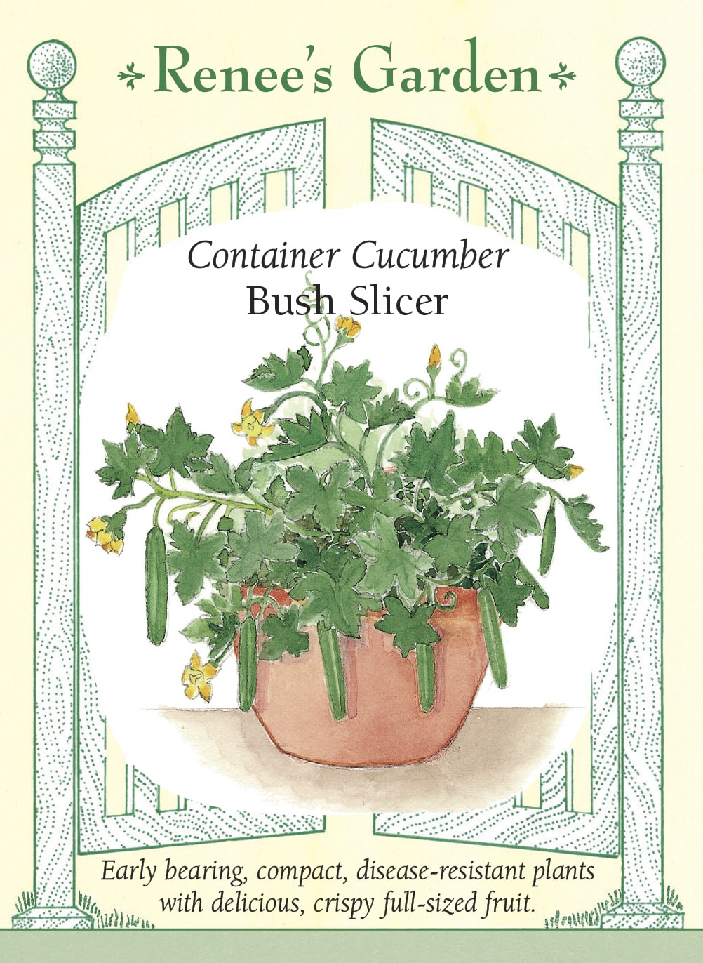 Hand-Picked Seed Bundle - Container Veggies