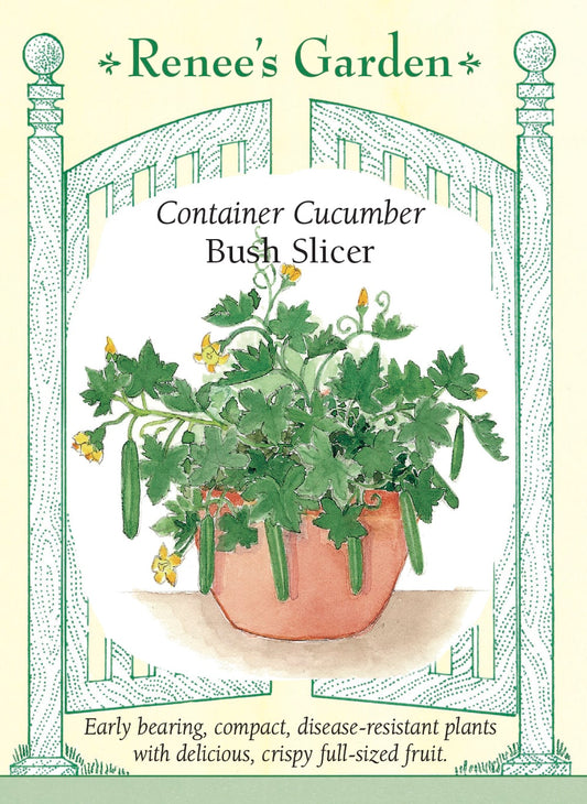 Container Cucumber - Bush Slicer