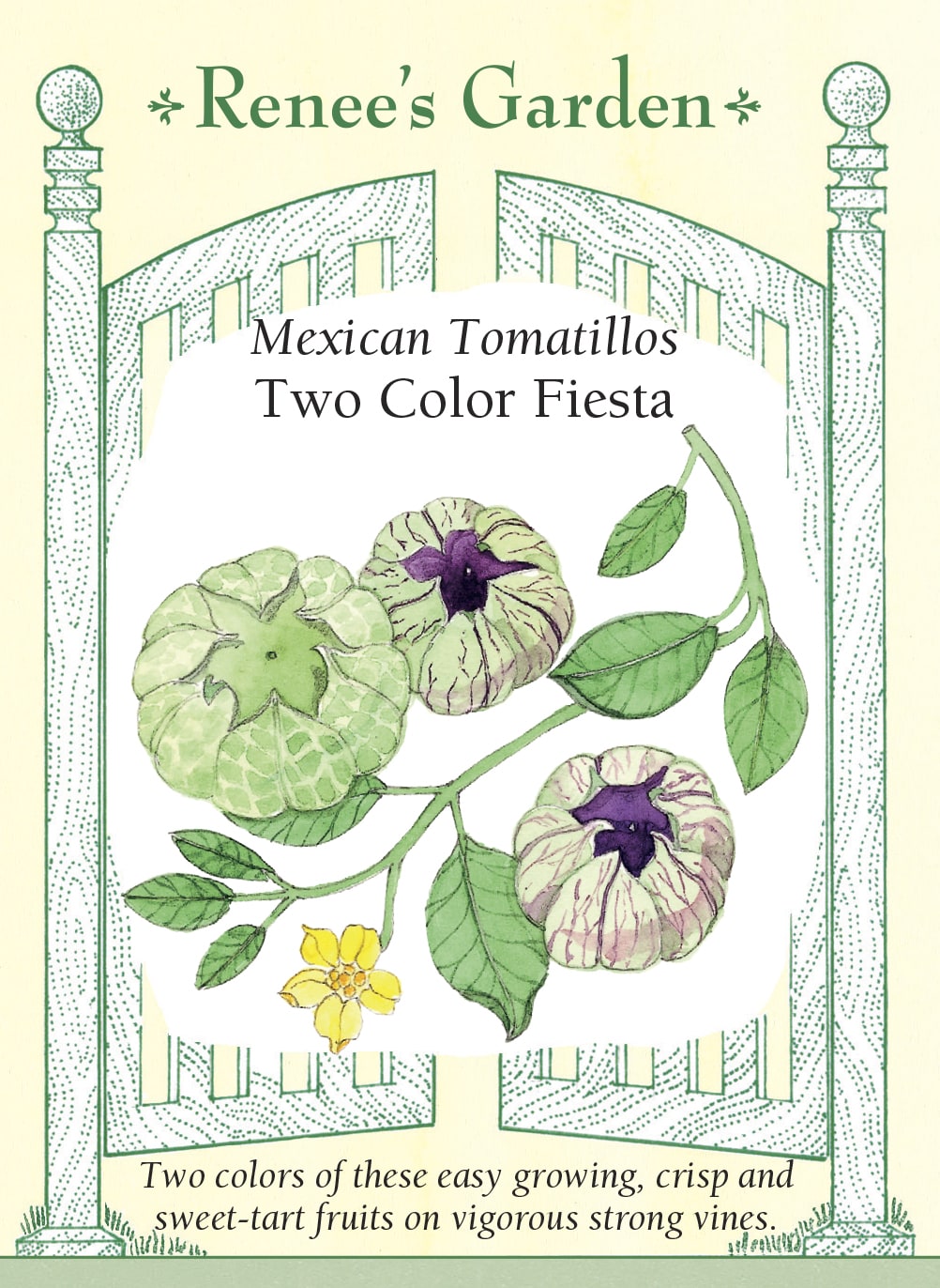 Mexican Tomatillos - Two Color Fiesta