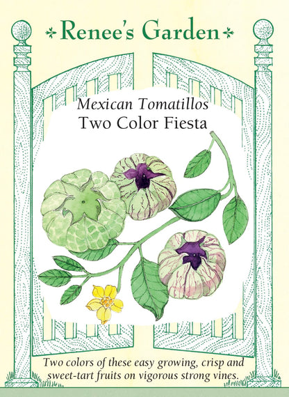 Mexican Tomatillos - Two Color Fiesta