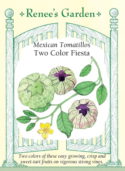 Mexican Tomatillos - Two Color Fiesta