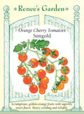 Orange Cherry Tomatoes - Sungold