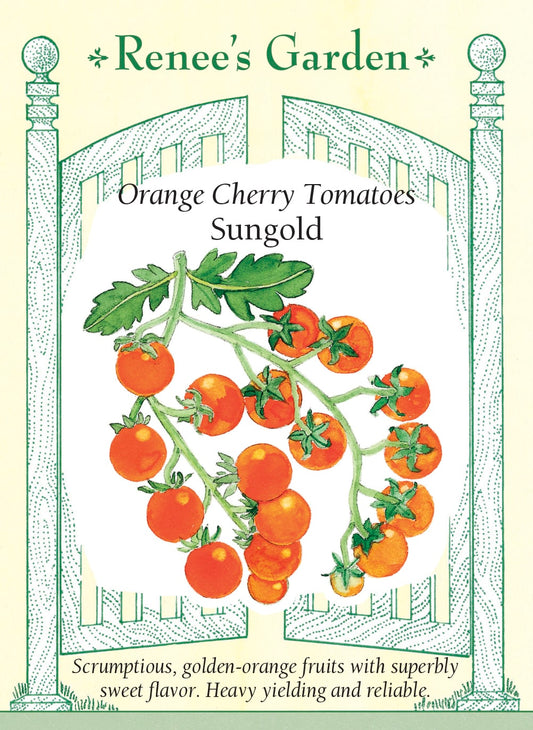 Orange Cherry Tomatoes - Sungold