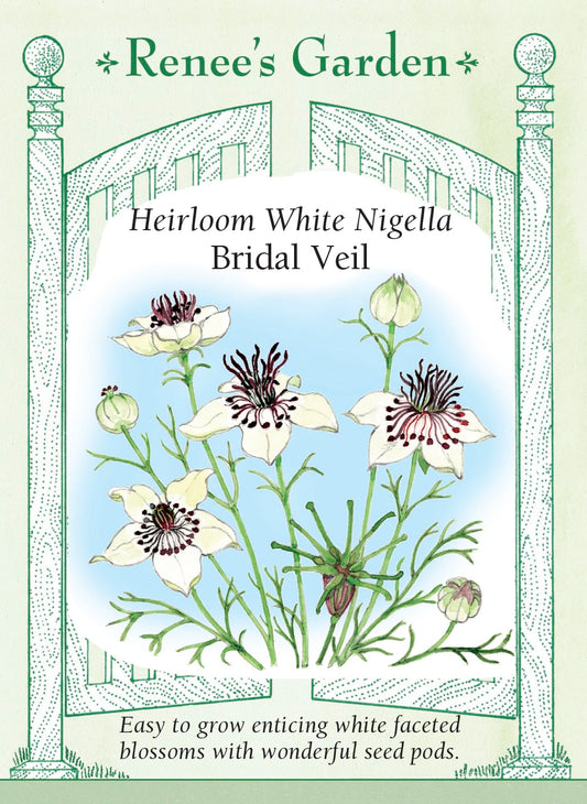 Heirloom White Nigella - Bridal Veil