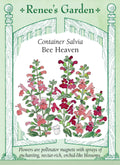 Container Salvia - Bee Heaven