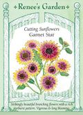 Cutting Sunflowers - Garnet Star