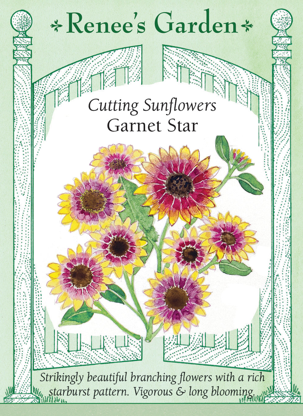 Cutting Sunflowers - Garnet Star