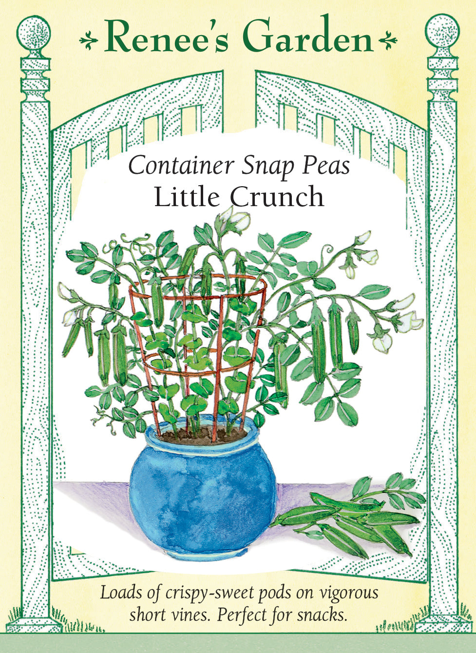 Hand-Picked Seed Bundle - Container Veggies