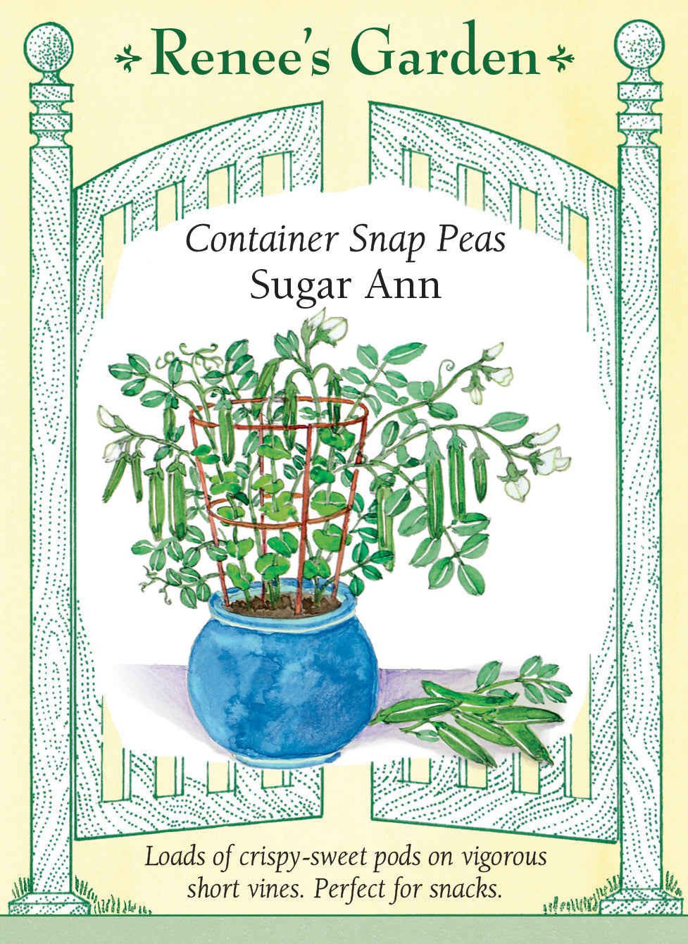 Container Snap Peas - Sugar Ann