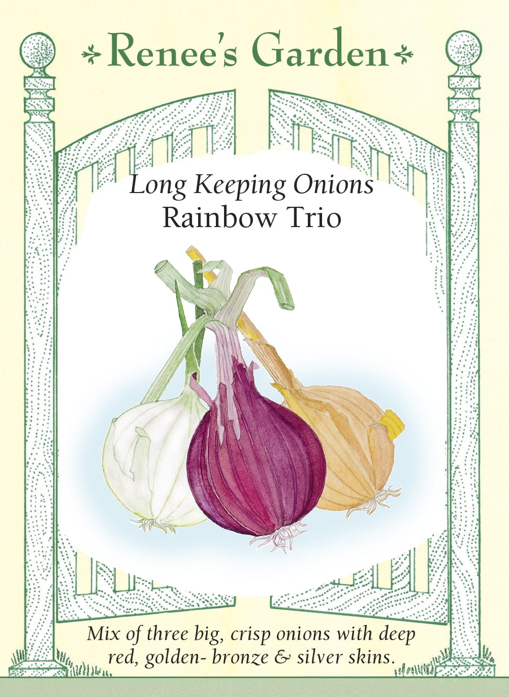 Long Keeping Onions - Rainbow Trio