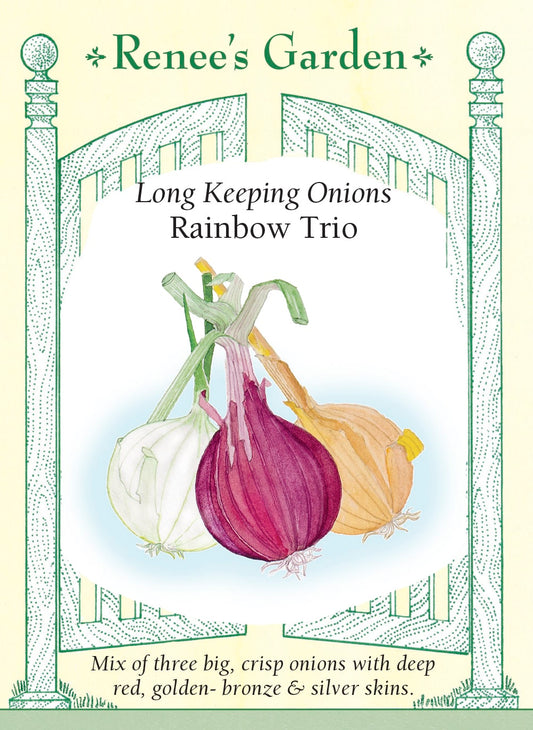 Long Keeping Onions - Rainbow Trio