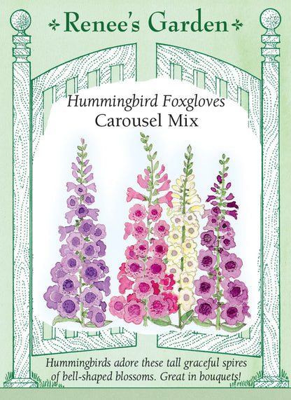 Hummingbird Foxgloves - Carousel Mix