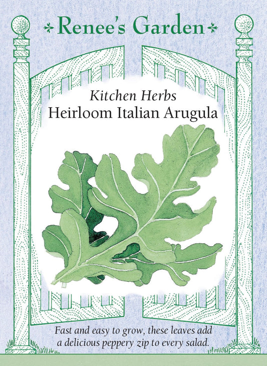 Kitchen Herbs - Heirloom Italian Arugula