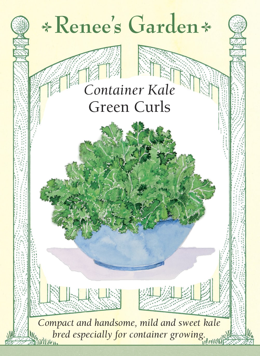 Container Kale - Green Curls
