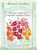 Butterfly Snapdragons - Chantilly Summer Flame