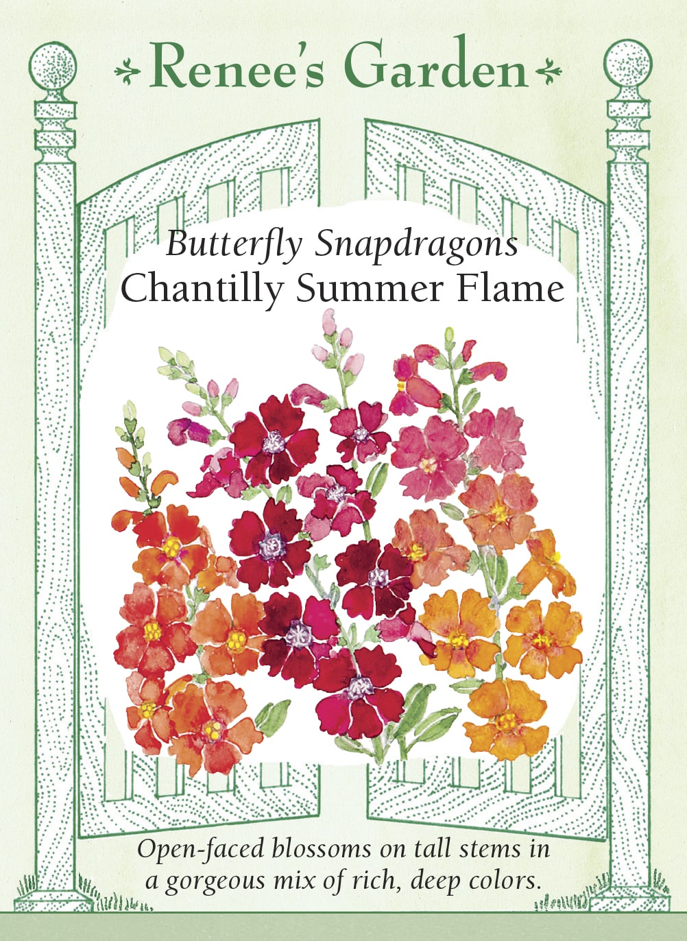 Butterfly Snapdragons - Chantilly Summer Flame