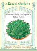 Container Baby Leaf Spinach - Little Hero