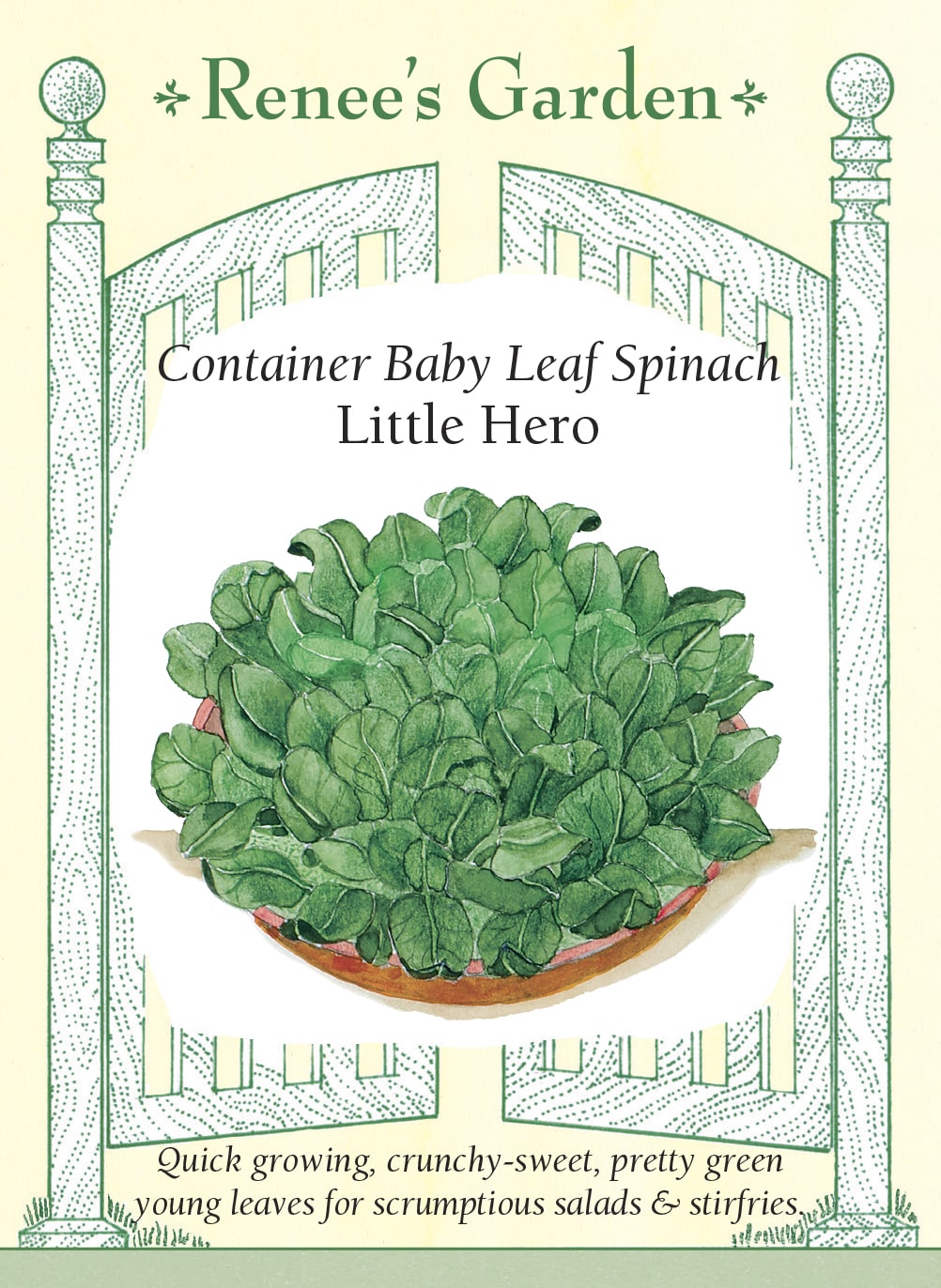 Hand-Picked Seed Bundle - Container Veggies