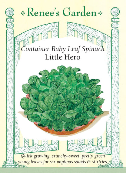 Hand-Picked Seed Bundle - Container Veggies