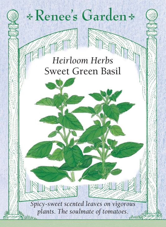 Heirloom Herbs - Sweet Green Basil