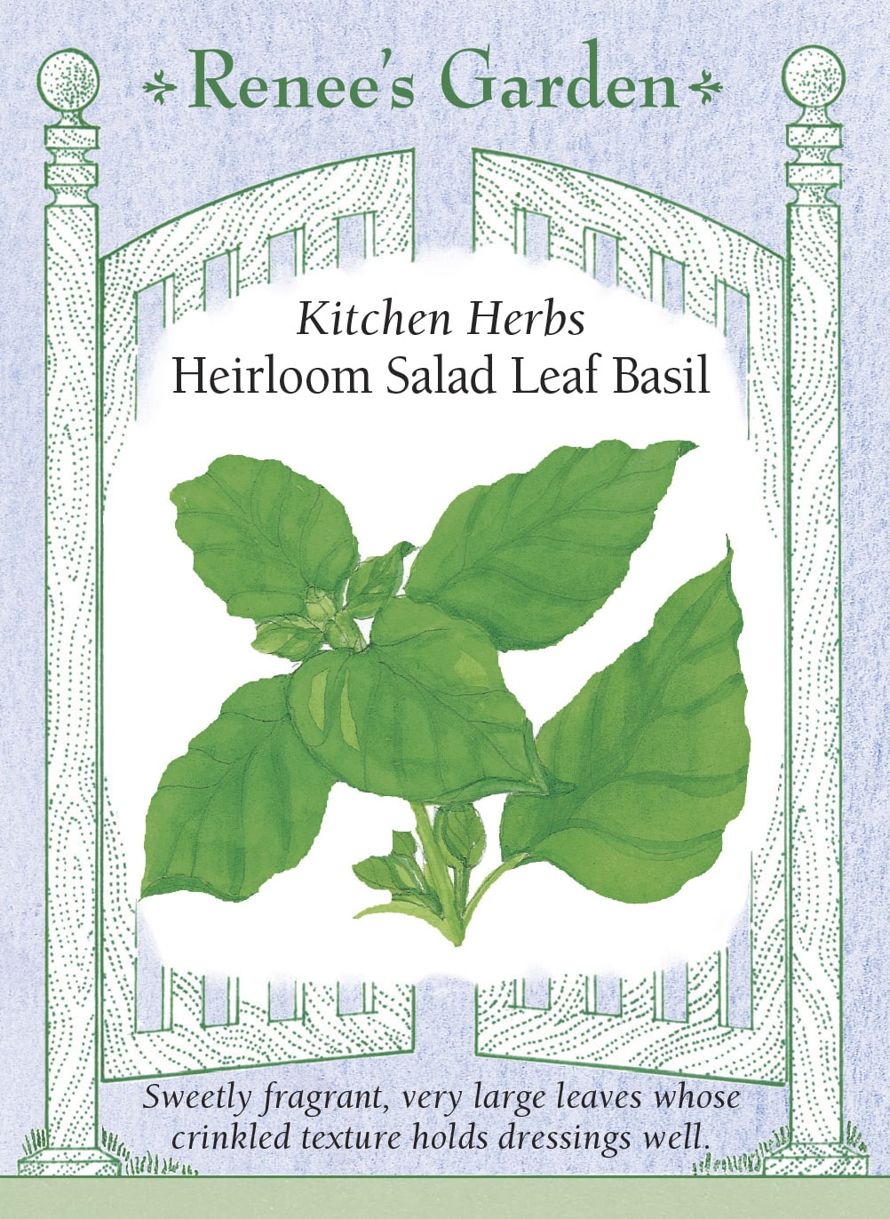 Kitchen Herbs - Heirloom Salad Leaf Basil