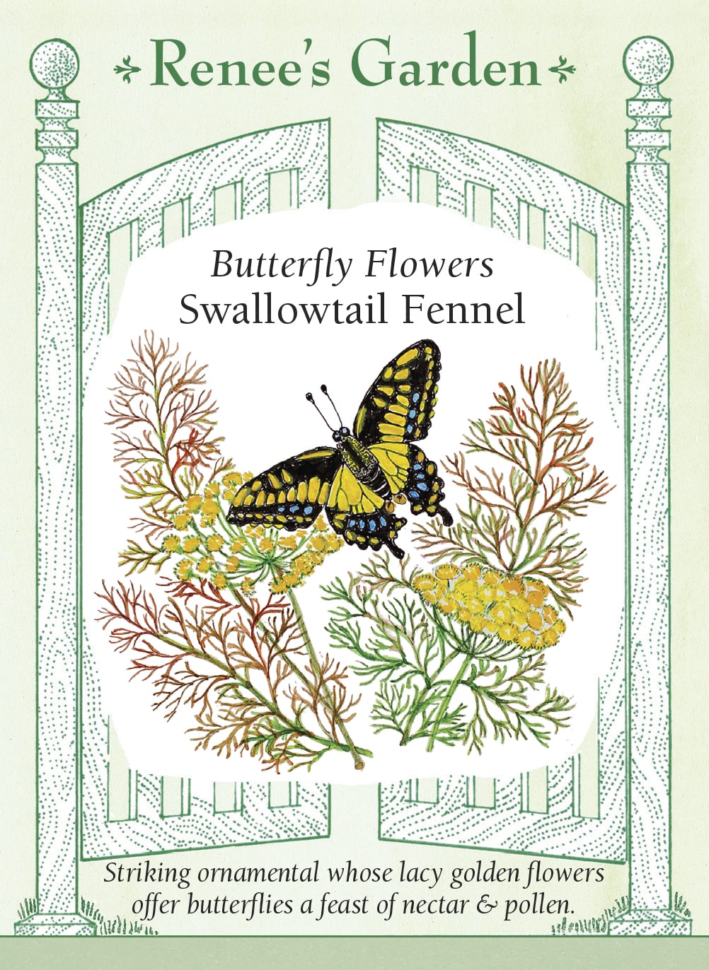 Butterfly Flowers - Swallowtail Fennel